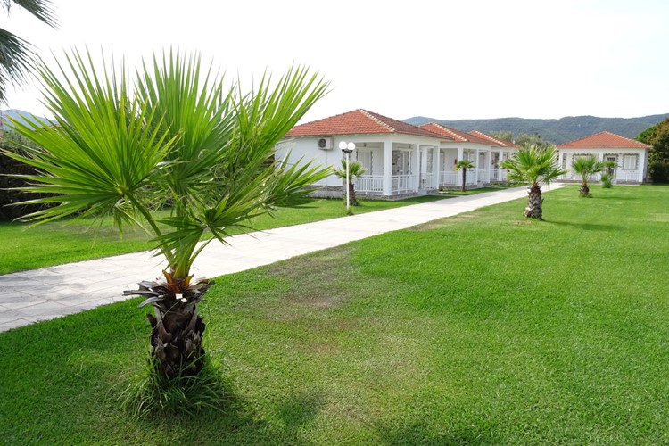 Řecko-Paralia Vrasna-dům Dimitris-zahrada