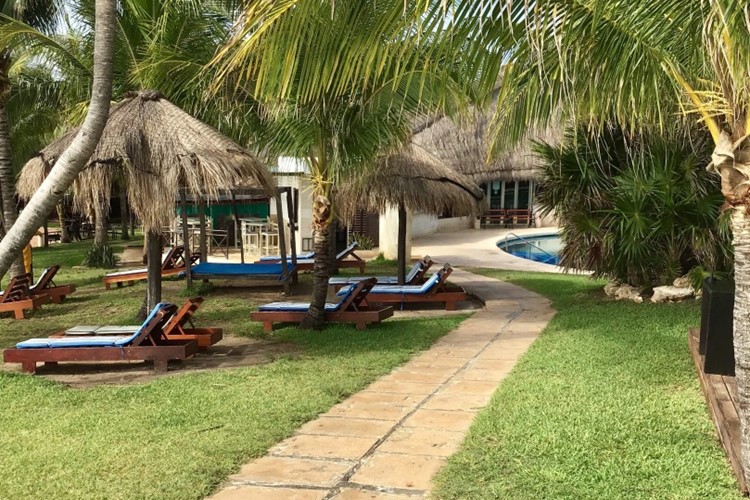 Mexiko-Hotel Dos Playas Faranda-zahrada