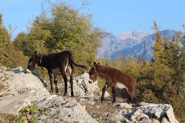 Poznávací zájezd-Albánie-albánské hory