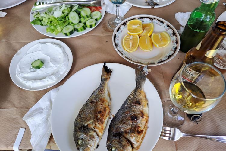 Poznávací zájezd-Albánie-Rybí restaurace Divjaka