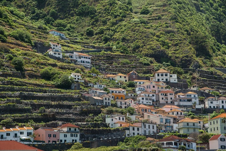 Madeira-fotka od jacqueline_macou z Pixabay