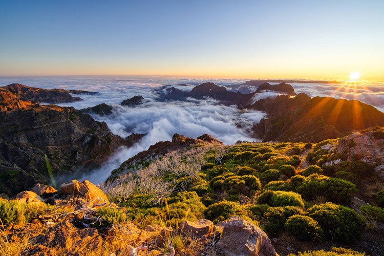 Madeira-poznávací zájezd