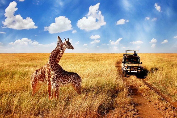 Poznávací zájezd Safari v Tanzanii a Zanzibar