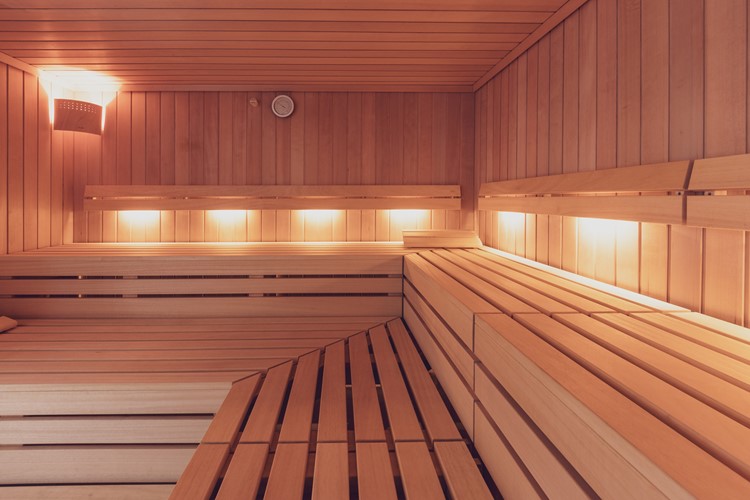 Švýcarsko-Davos-Hotel Strela-sauna