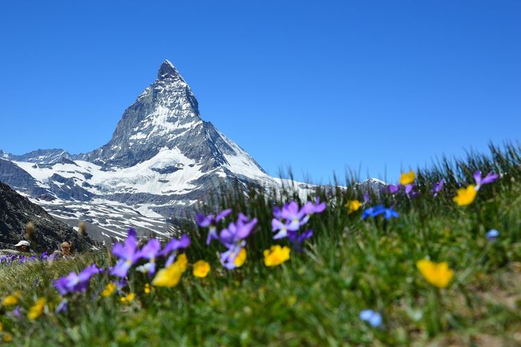 Švýcarsko-poznávací zájezd-Švýcarské velehory vlakem-Matterhorn-fotka od narya-pixabay