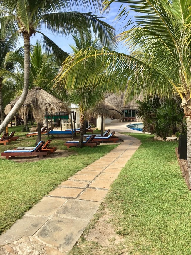 Mexiko-Hotel Dos Playas Faranda-zahrada