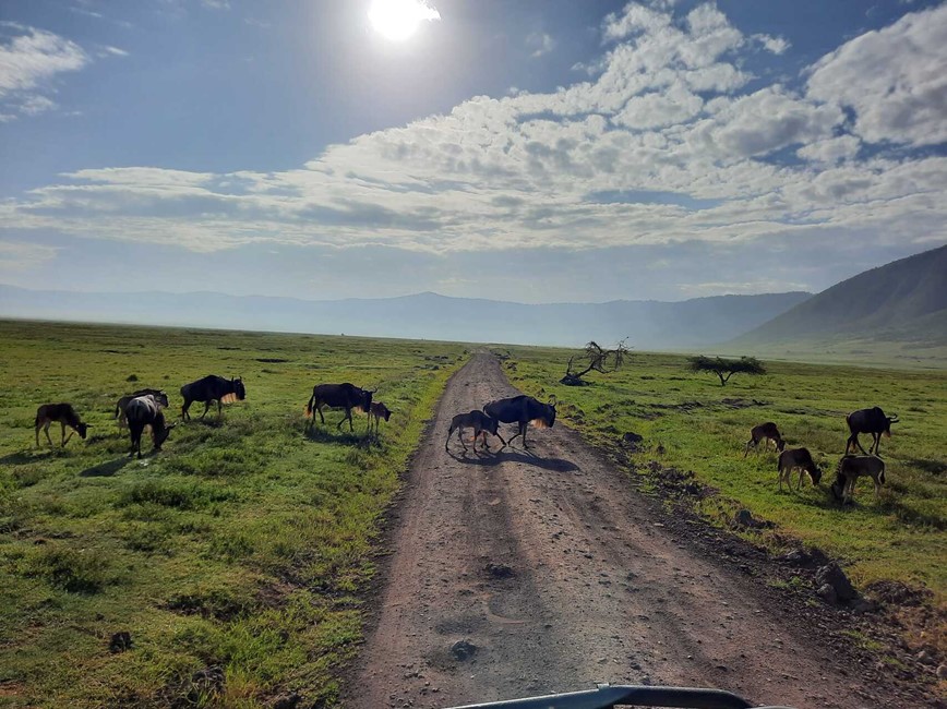 Tanzánie-Zanzibar-poznávací-zájezd-Ngorongoro